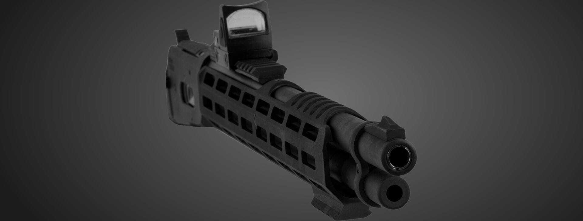 Sights and Threaded Muzzle