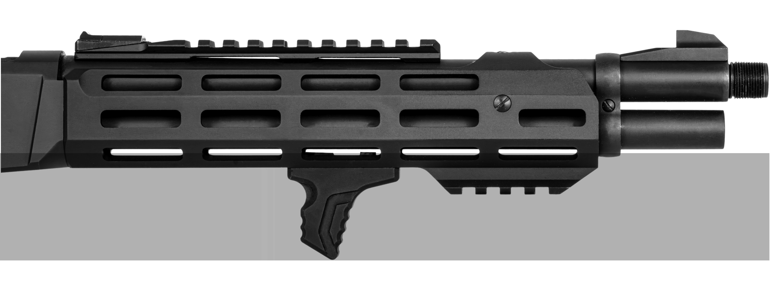 Precision Sights & Rail